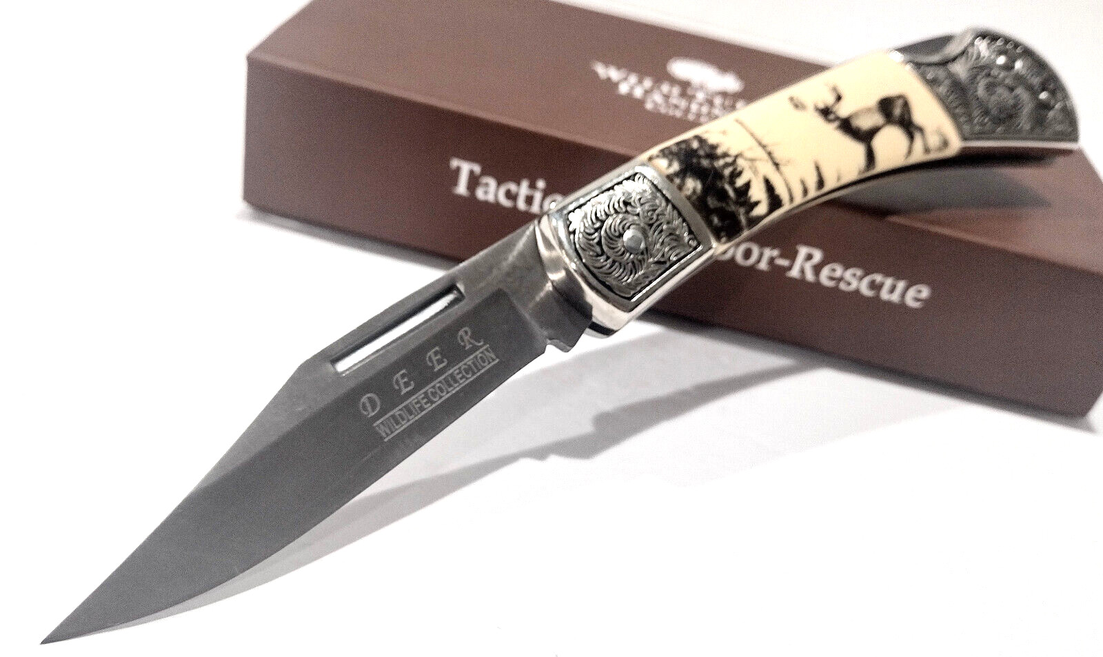 Buck Deer Scrimshaw Scene Smooth White Bone Lockback Folding Pocket Knife