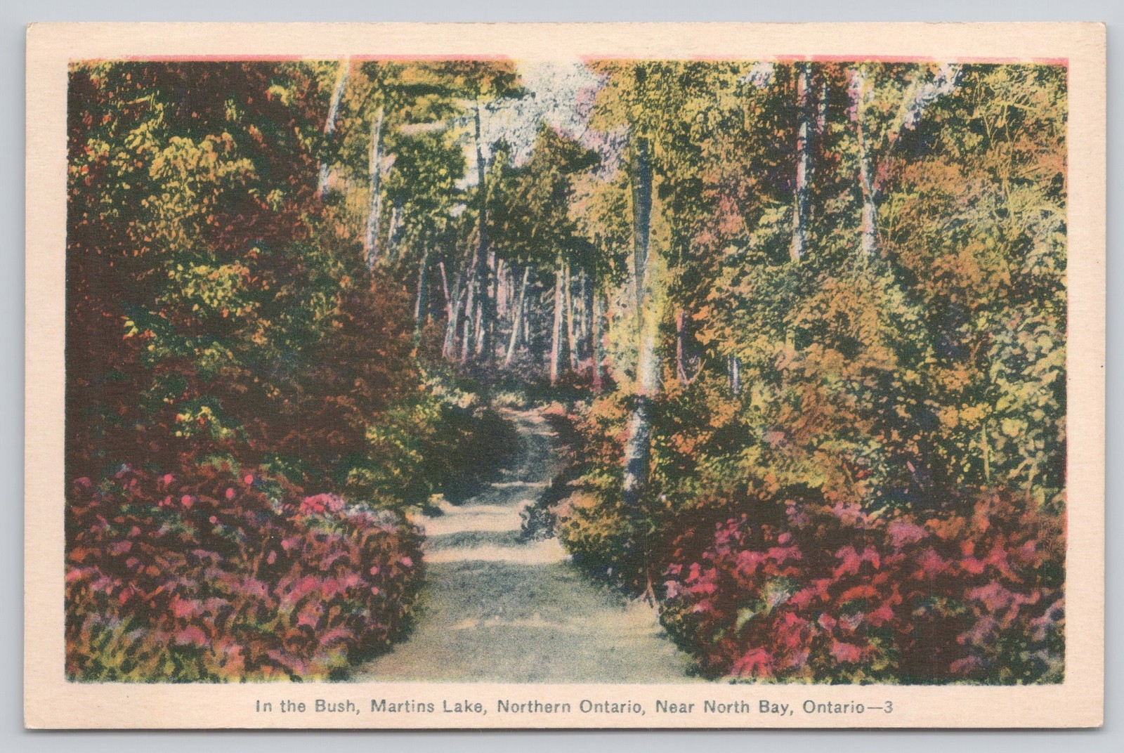 North Bay, Ontario Martins Lake In the Bush PECO Postcard Unposted
