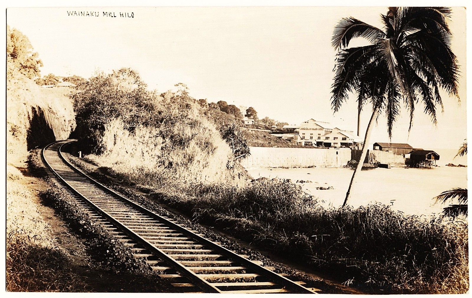 real photo Wainaku Mill Hilo HI - Railroad Tracks Shoreline Buildings antiq RPPC