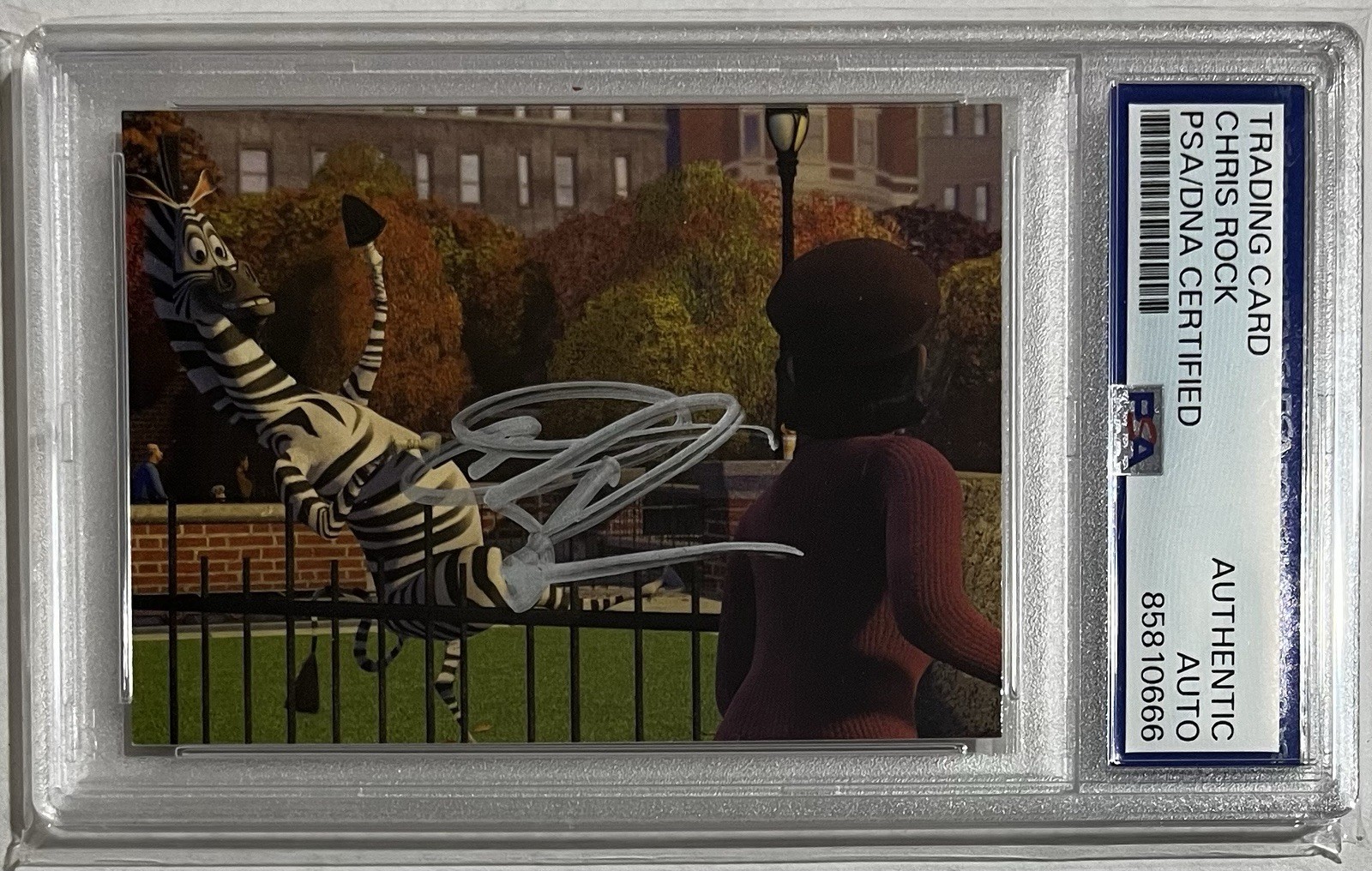 CHRIS ROCK Signed 2005 Madagascar AUTO Marty the Zebra PSA/DNA Slabbed Autograph