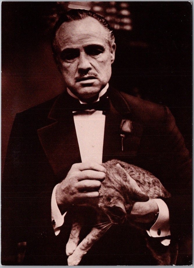 c1980s Actor MARLON BRANDO 4x6 Postcard Vito Corleone with Cat 
