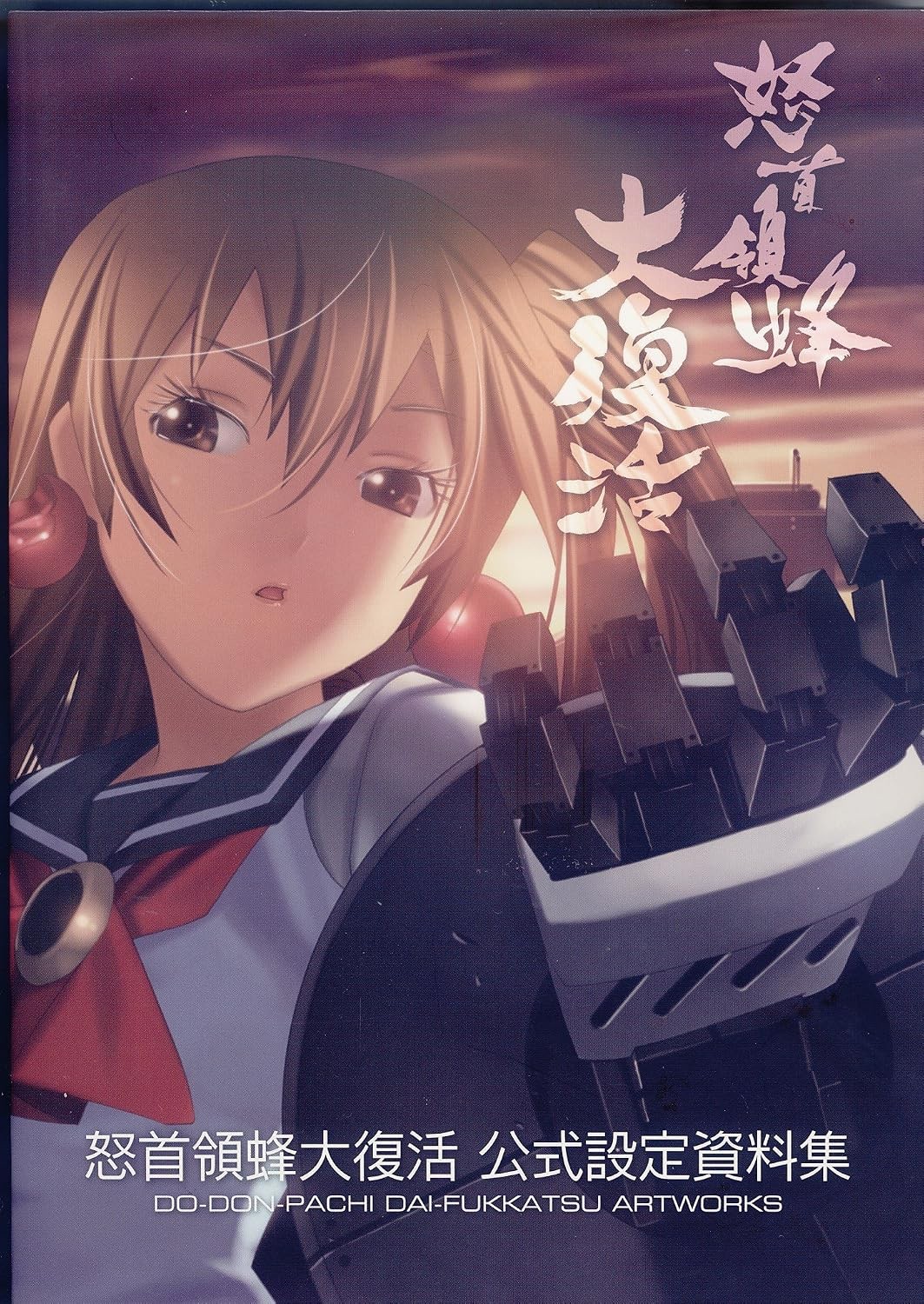 DODONPACHI DAI FUKKATSU Game Art Works Xbox360 Fan Book Japan Used