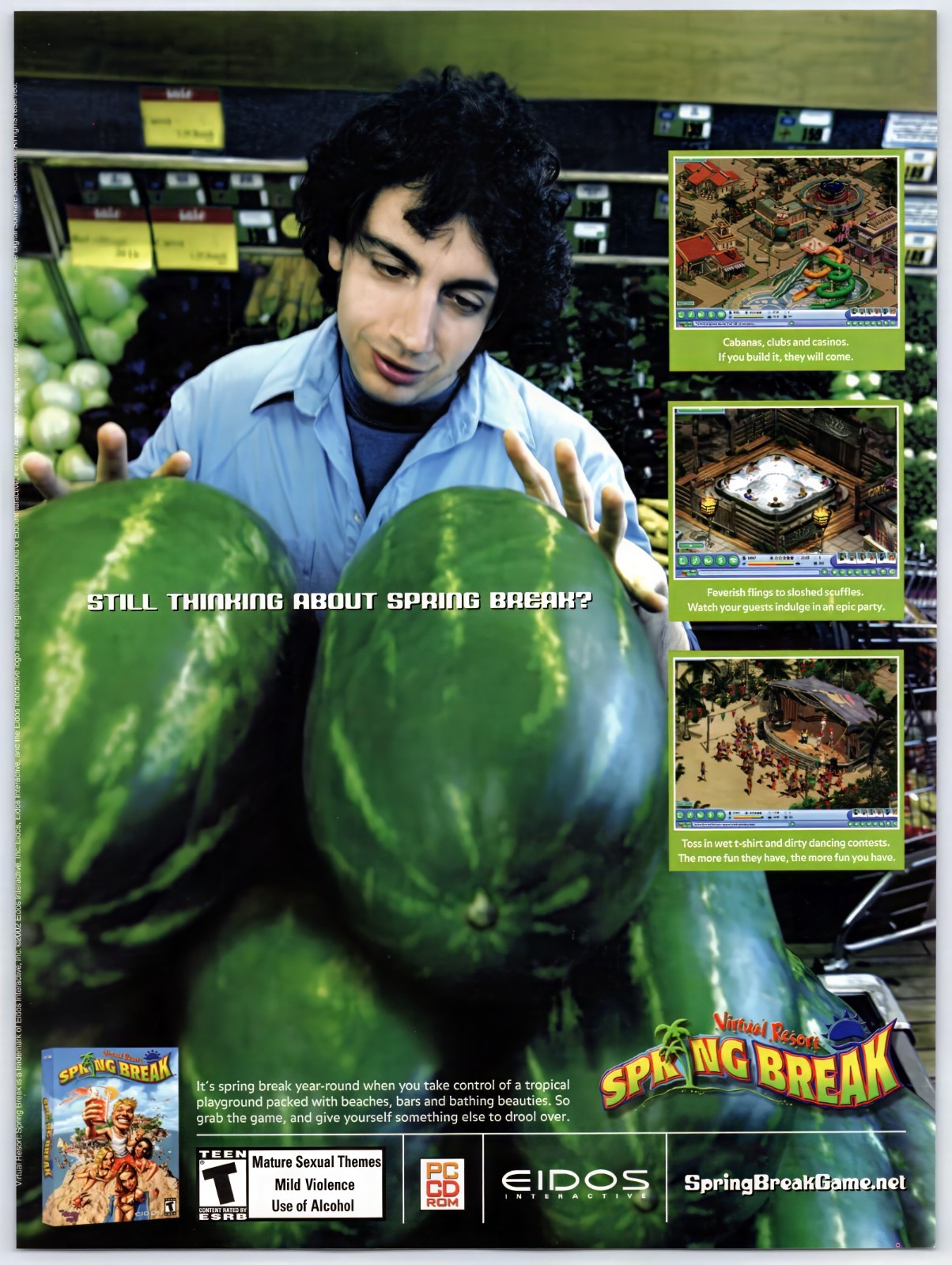 Virtual Resort / Beach Life - PC Game - Original Print Ad/Poster Promo 2002