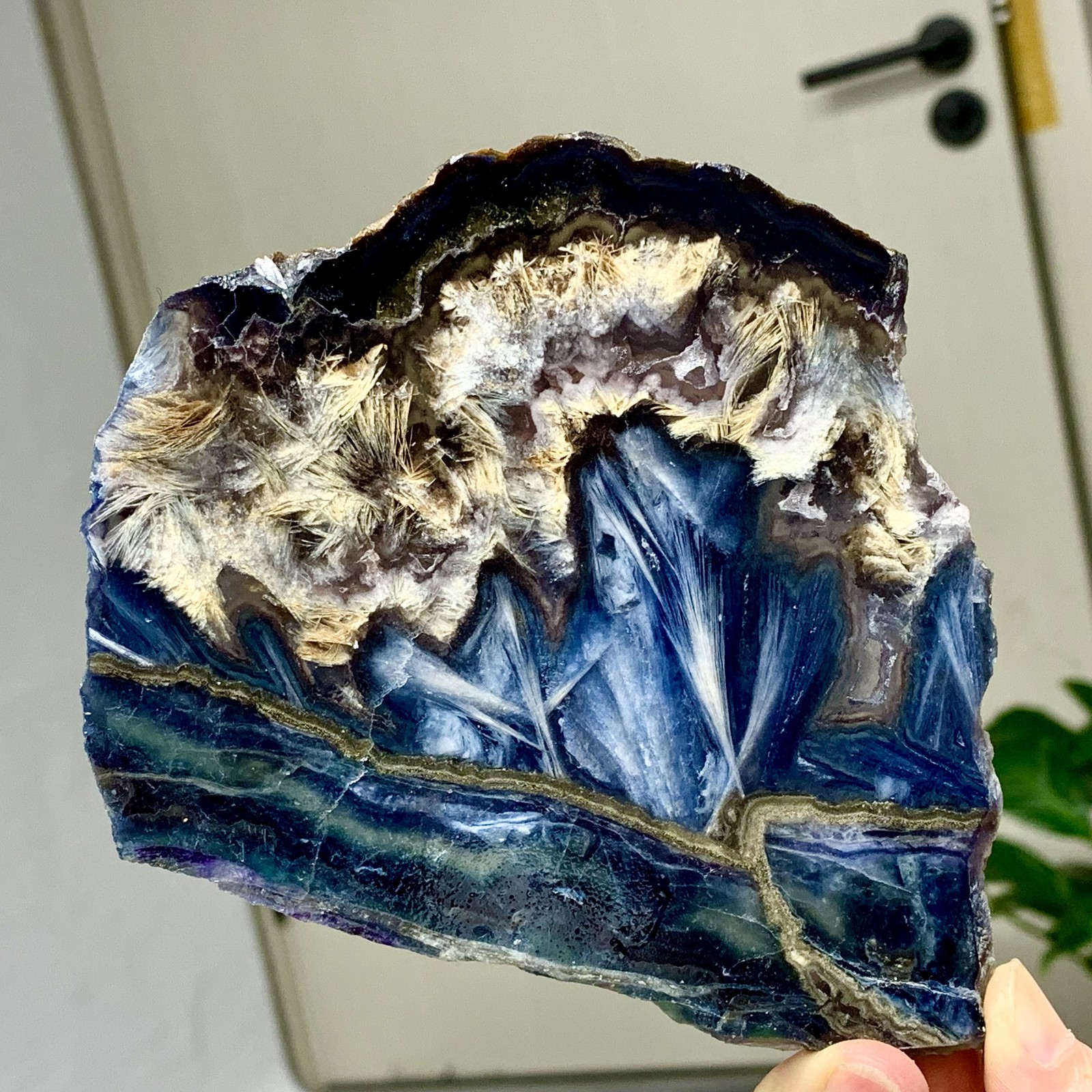 283G Natural transparent blue purple feather fluorite slice mineral