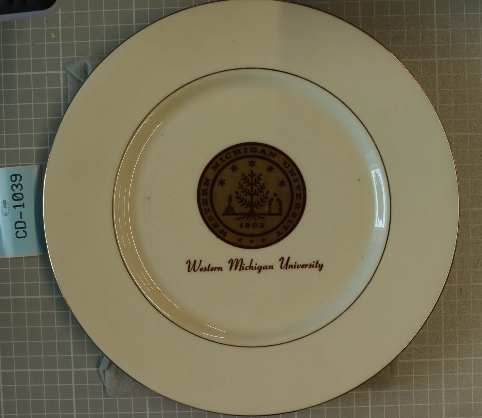 VINTAGE WESTERN MICHIGAN  Stadium collectible Porcelain plate BRONCO