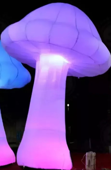 LED Giant Inflatable Mushroom 2m 3m 4m Customized 16Color Light Warranty Support