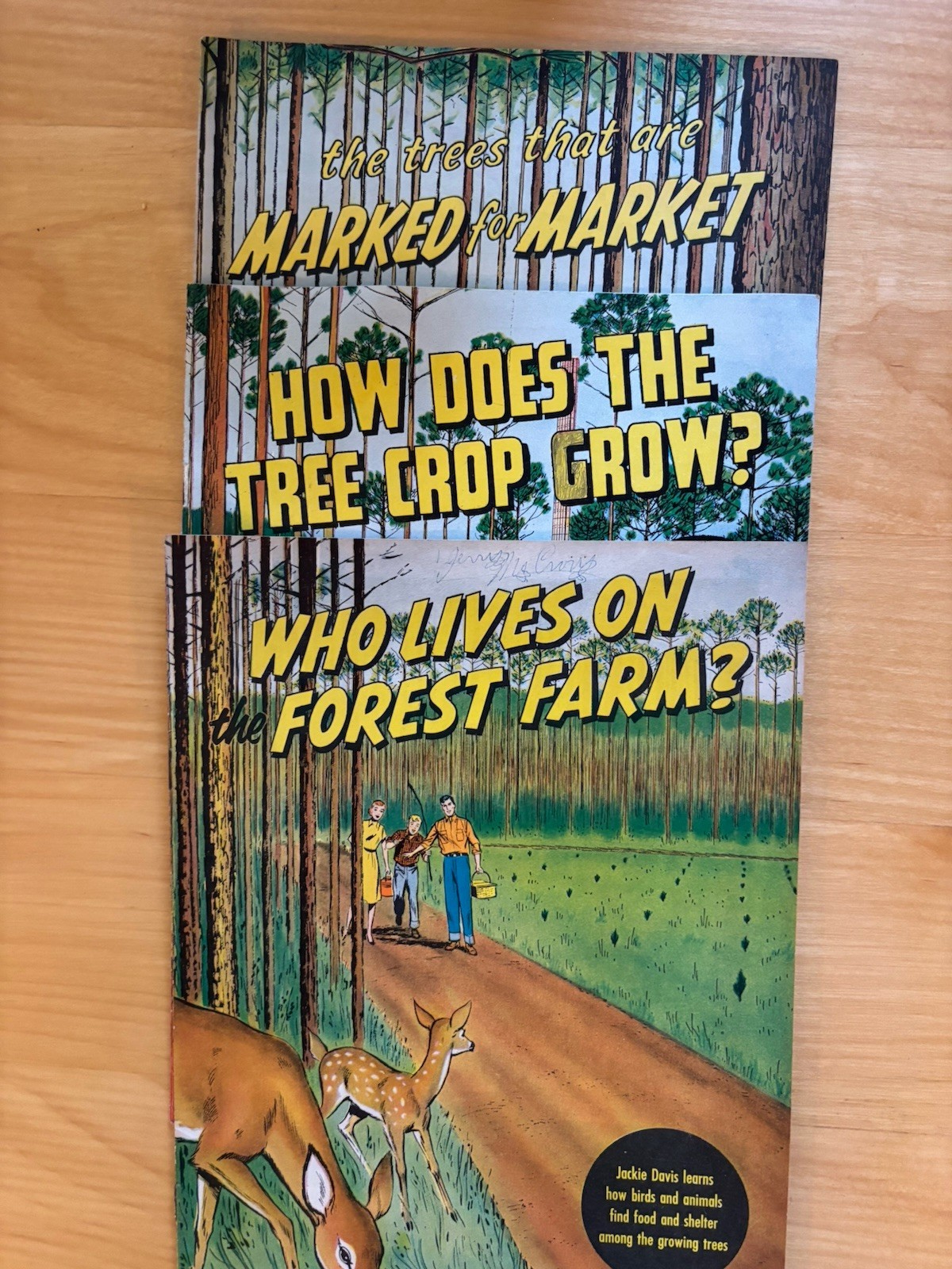 Jackie Davis, Junior Forest Fire Fighting Warden By International Paper 3 Books