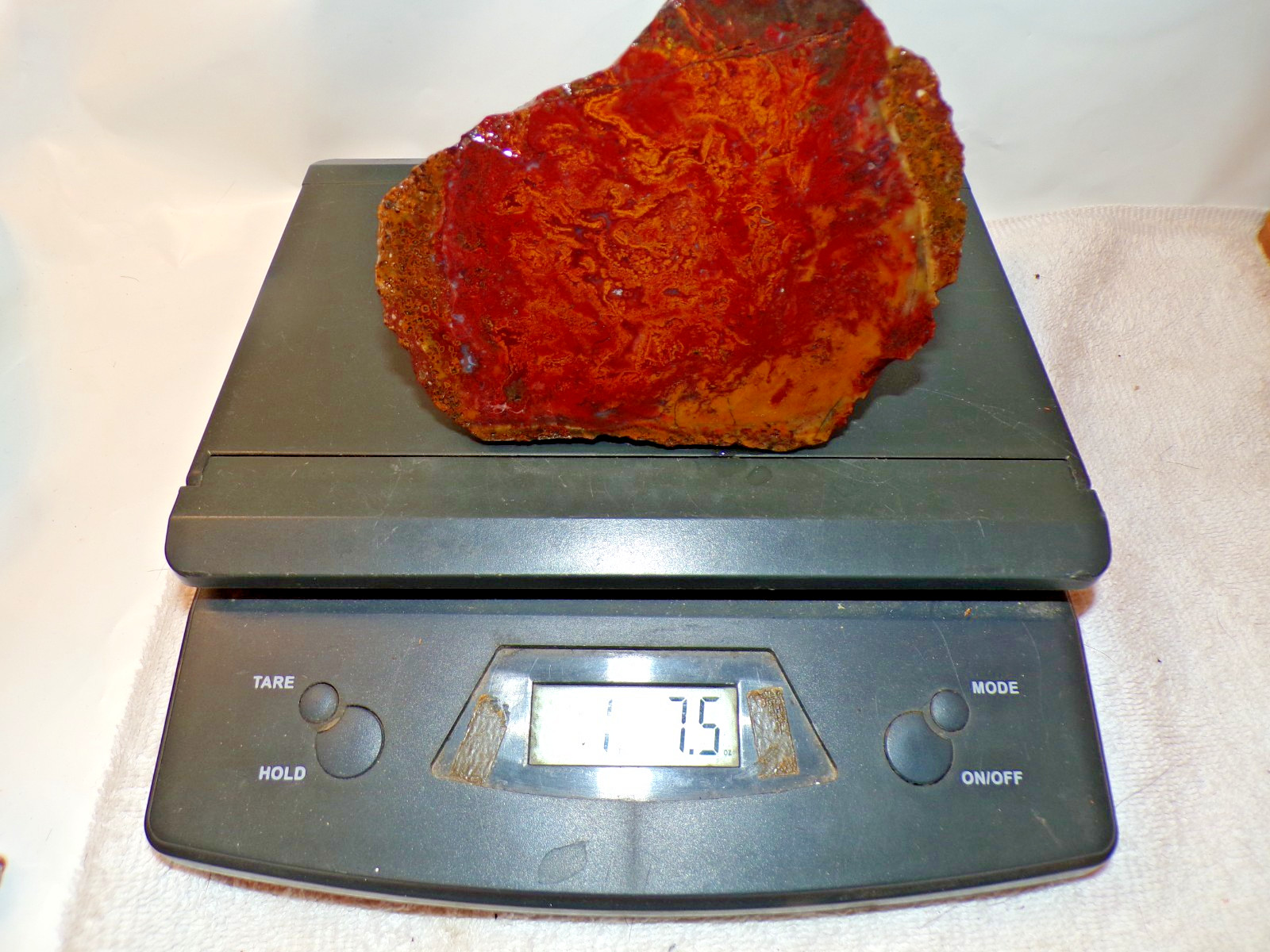 Large Bright Red Dinosaur Bone Specimen, 1 Lb 7.5 Oz.