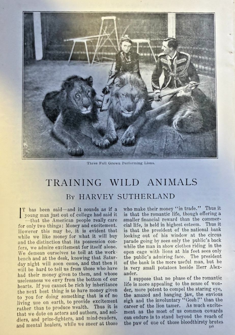 1902 Training Wild Animals Performing Lions Bears Elephants illustrated