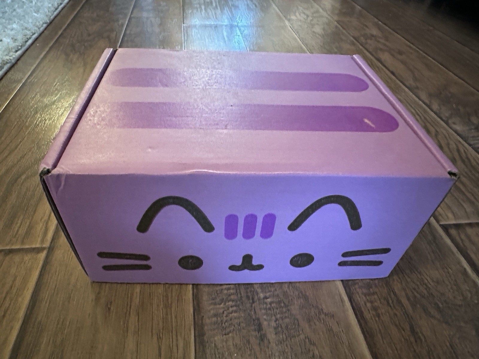 Pusheen Box Fall 2016 Halloween Subscription Box – Nearly Complete – Rare