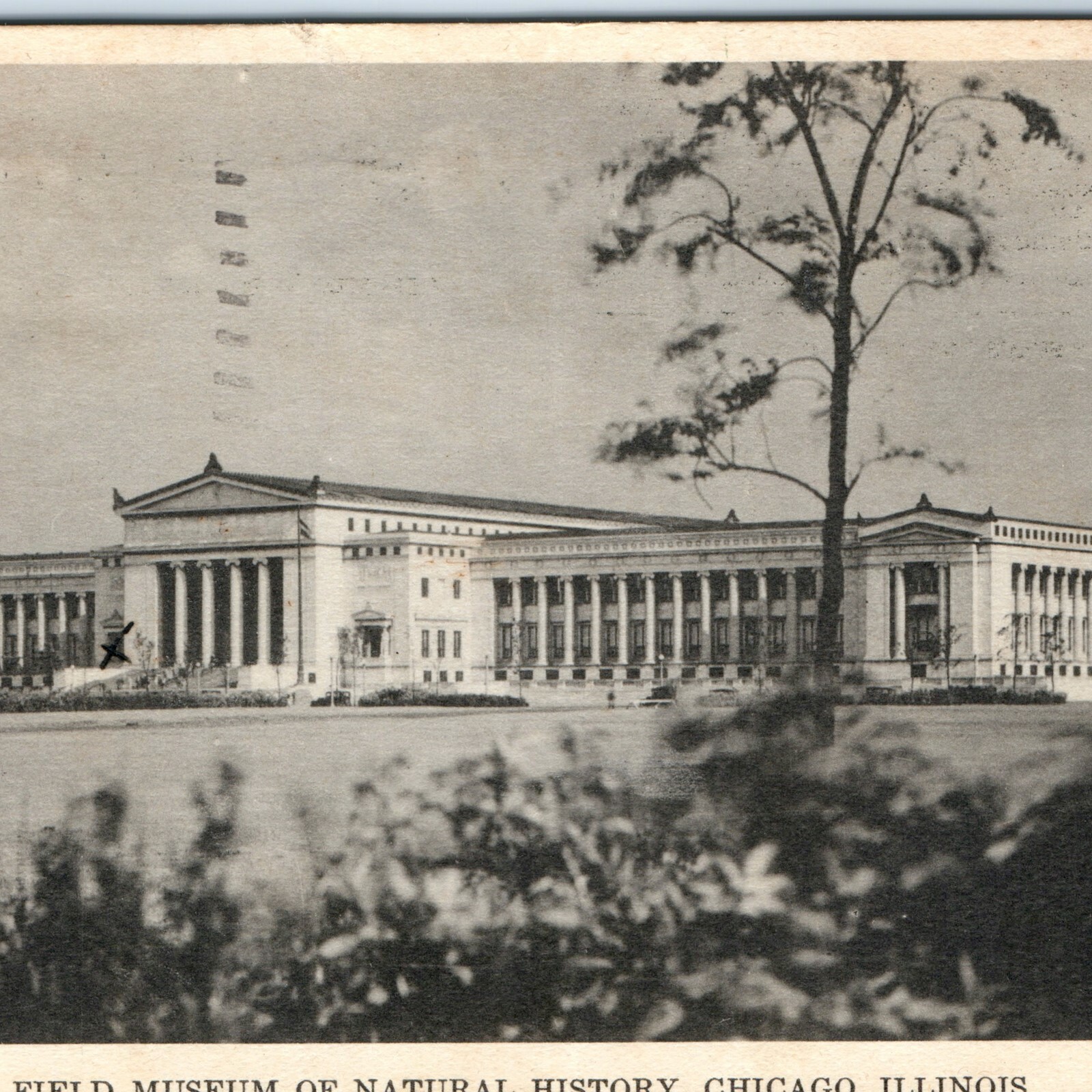 c1930s Chicago, IL Field Museum of Natural History Postcard Henry Fuermann Photo