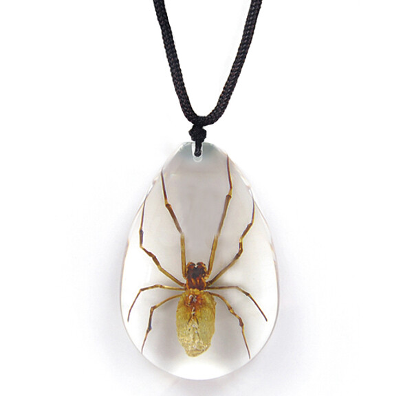 REAL BROWN RECLUSE SPIDER NECKLACE ACRYLIC PRESERVED SPECIMEN ADJUSTABLE CHAIN