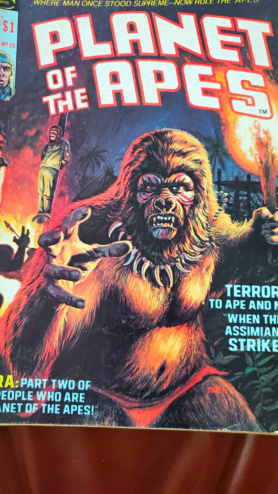 Planet of the Apes #13 Single Issue Bronze Age Color Planet of the Apes Universe