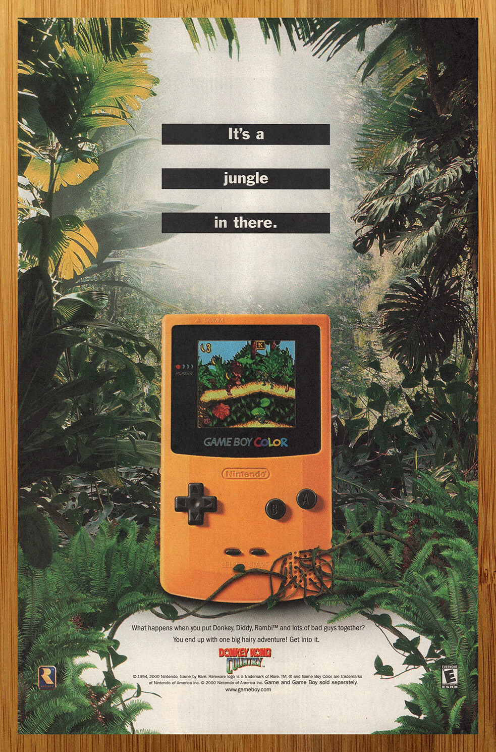 2000 Donkey Kong Country Game Boy Color Print Ad/Poster Console/System Promo Art