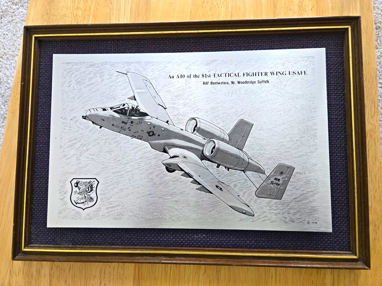 Framed A-10 Thunderbolt II Print 81st TFW Cotswold Etchings USAF Warthog Art 