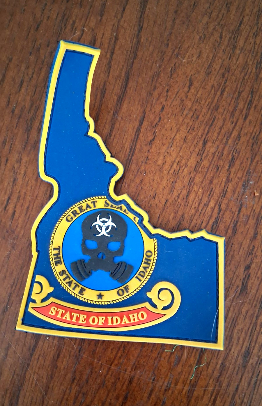 Idaho Air National Guard Aerial Port Great Seal Patch Militaria
