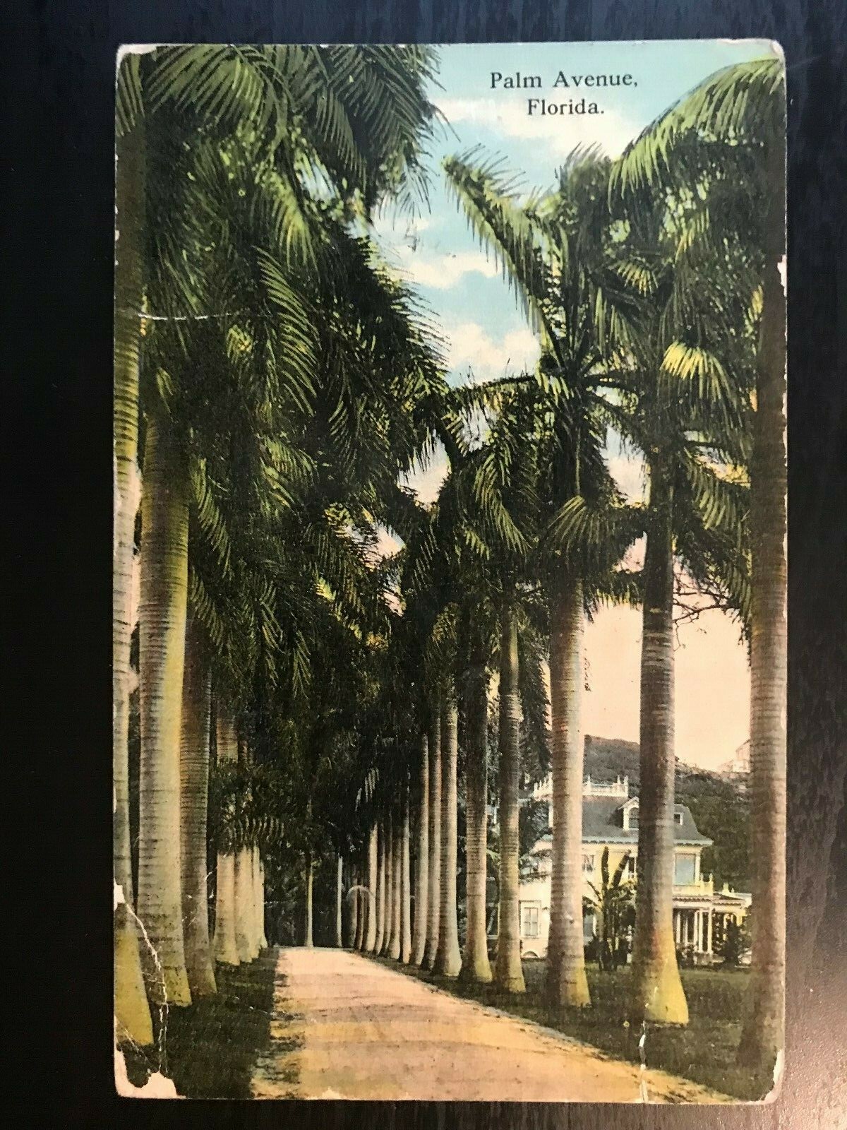 Vintage Postcard 1912 Palm Avenue Florida (FL)