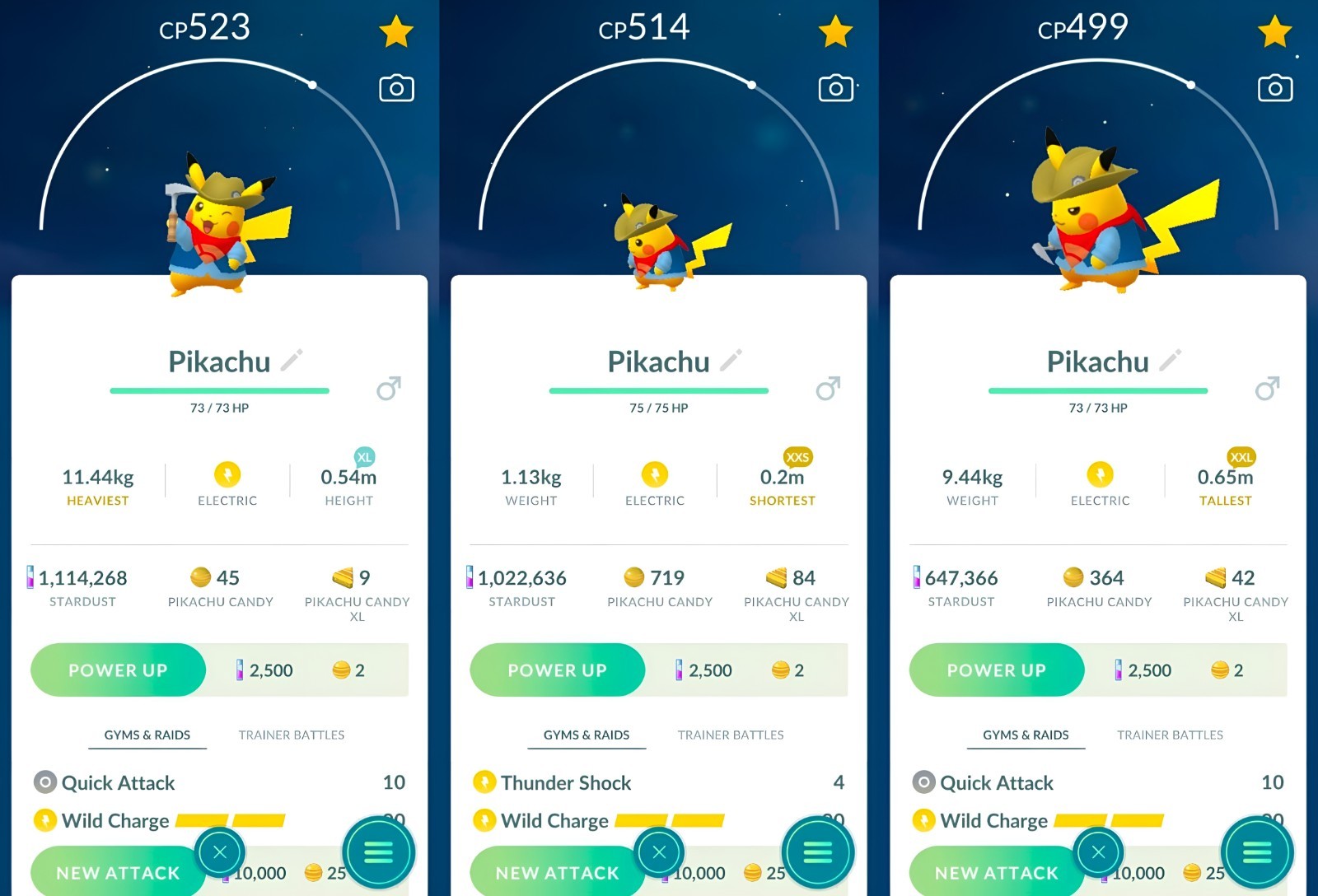 Pikachu Fossil Excavator XL, XXL, XXS | For exhibitions | Tr-de Go✨