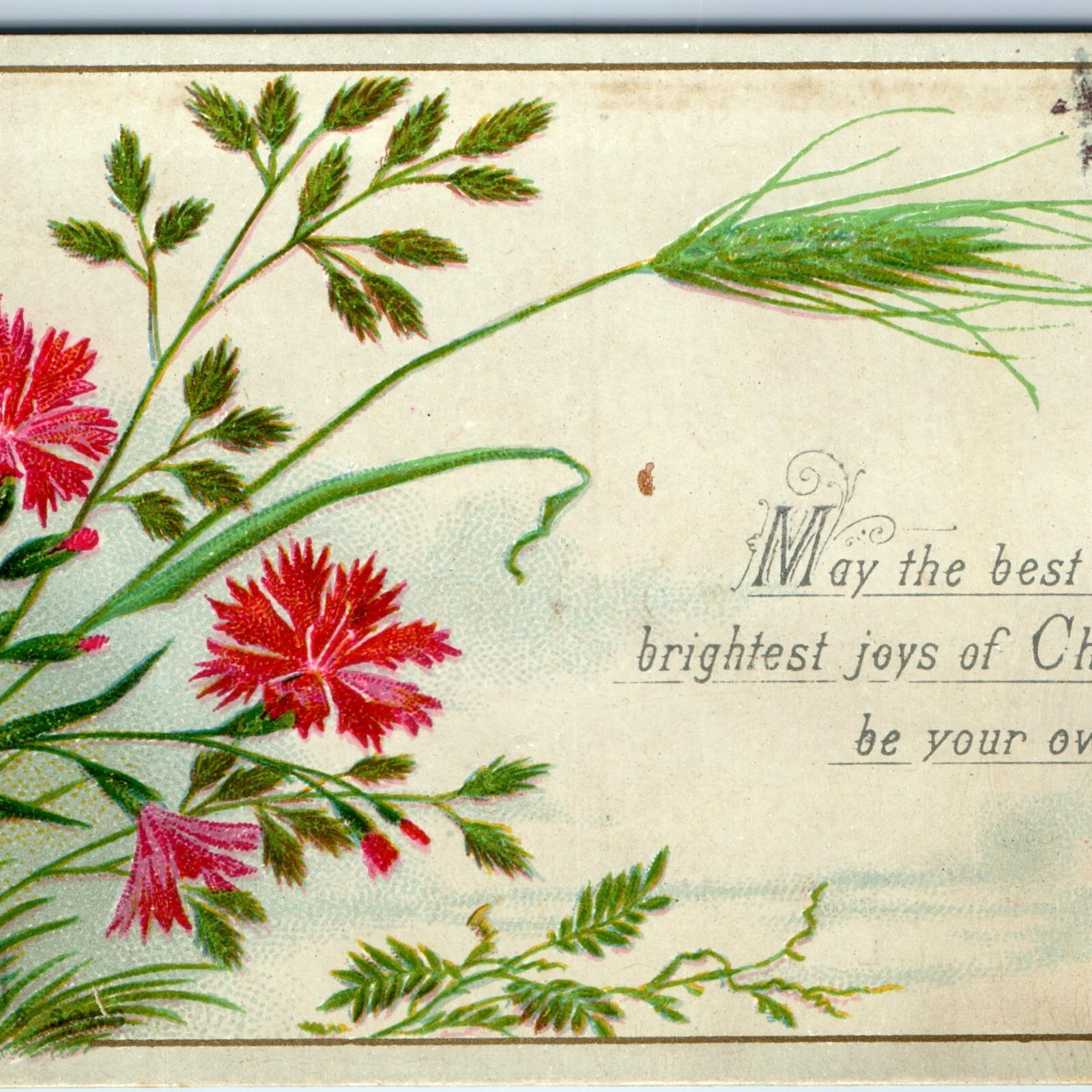 Antique Raphael Tuck Christmas Trade Card Carnation Pinks Embossed Series 1205