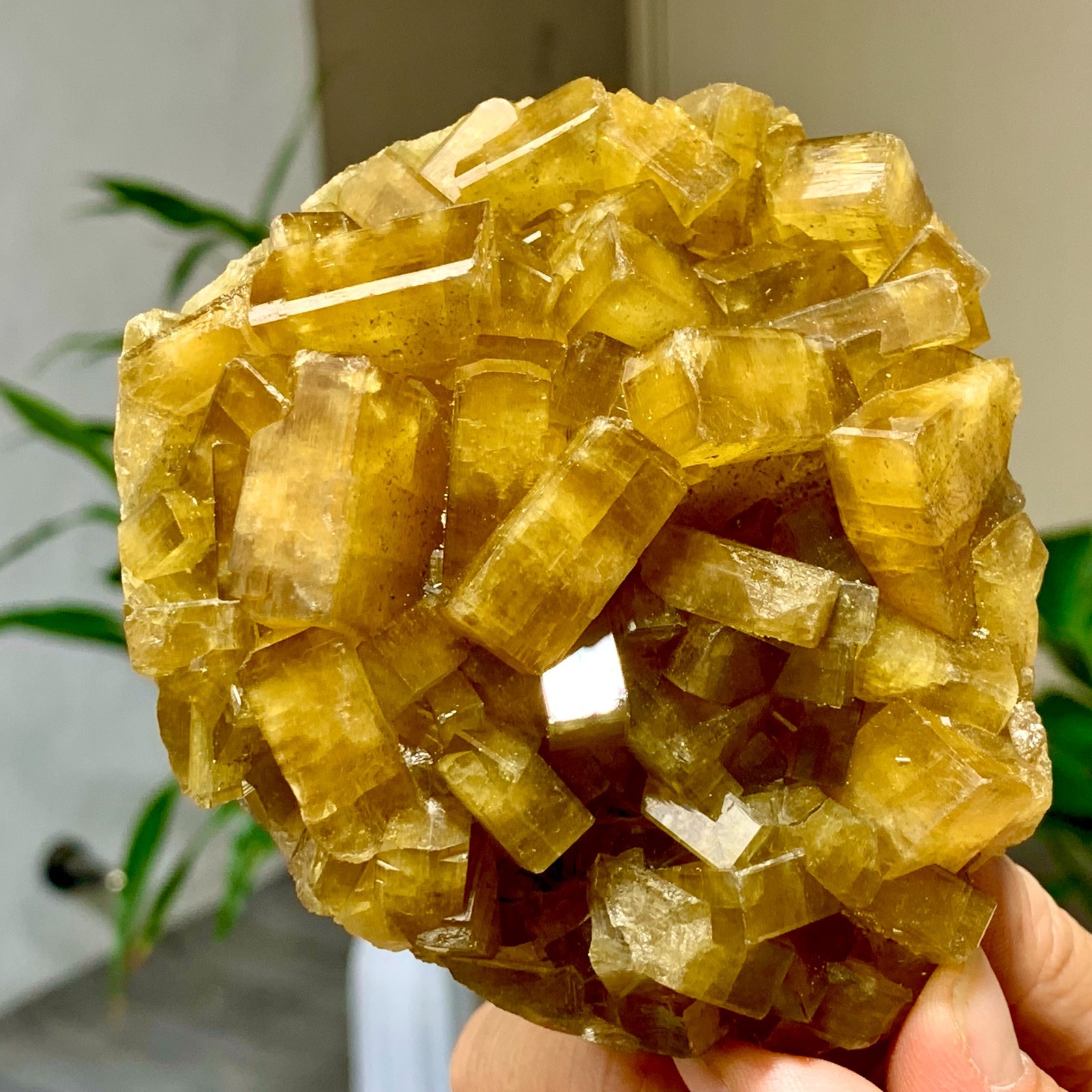 1.38LB Natural Golden Cuboid Barite Crystal on the Purple Spherical Fluorite