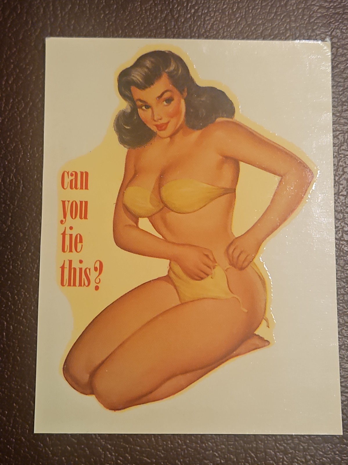 VINTAGE ORIGINAL  SOUVENIR PINUP WATER DECAL ART  3
