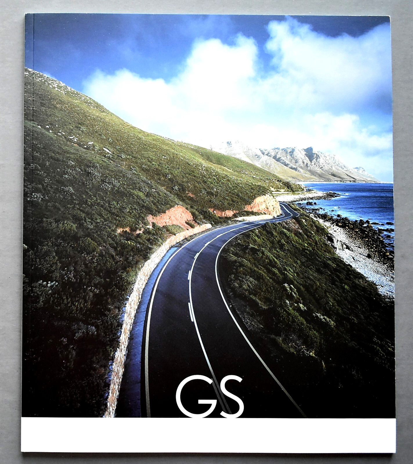 ORIGINAL 2006 LEXUS GS SALES BROCHURE CATALOG ~ 52 PAGES ~ 11