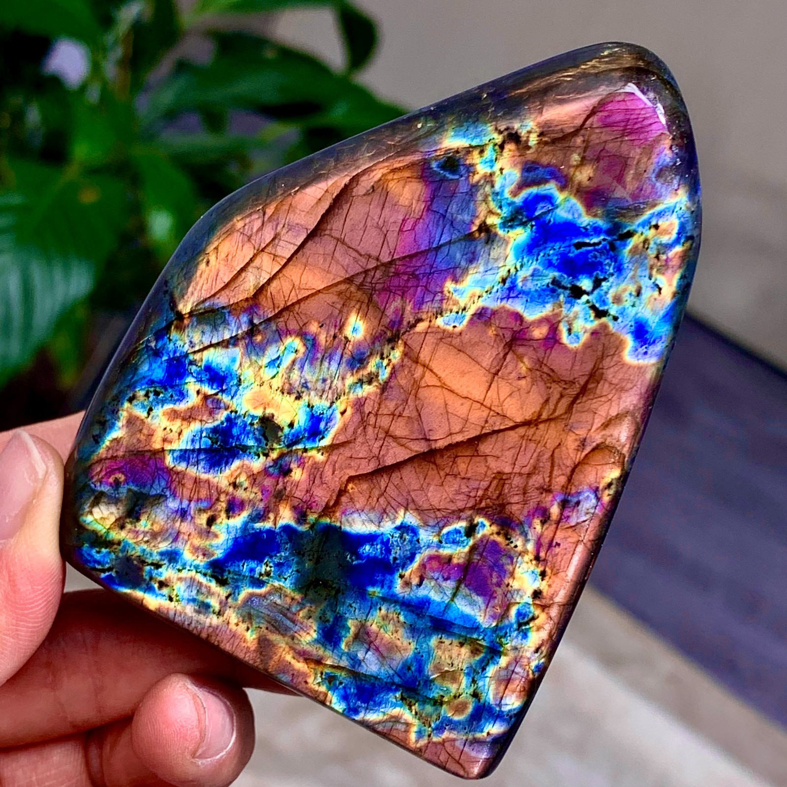 262G Natural Gorgeous Labradorite QuartzCrystal Stone Specimen Healing E117