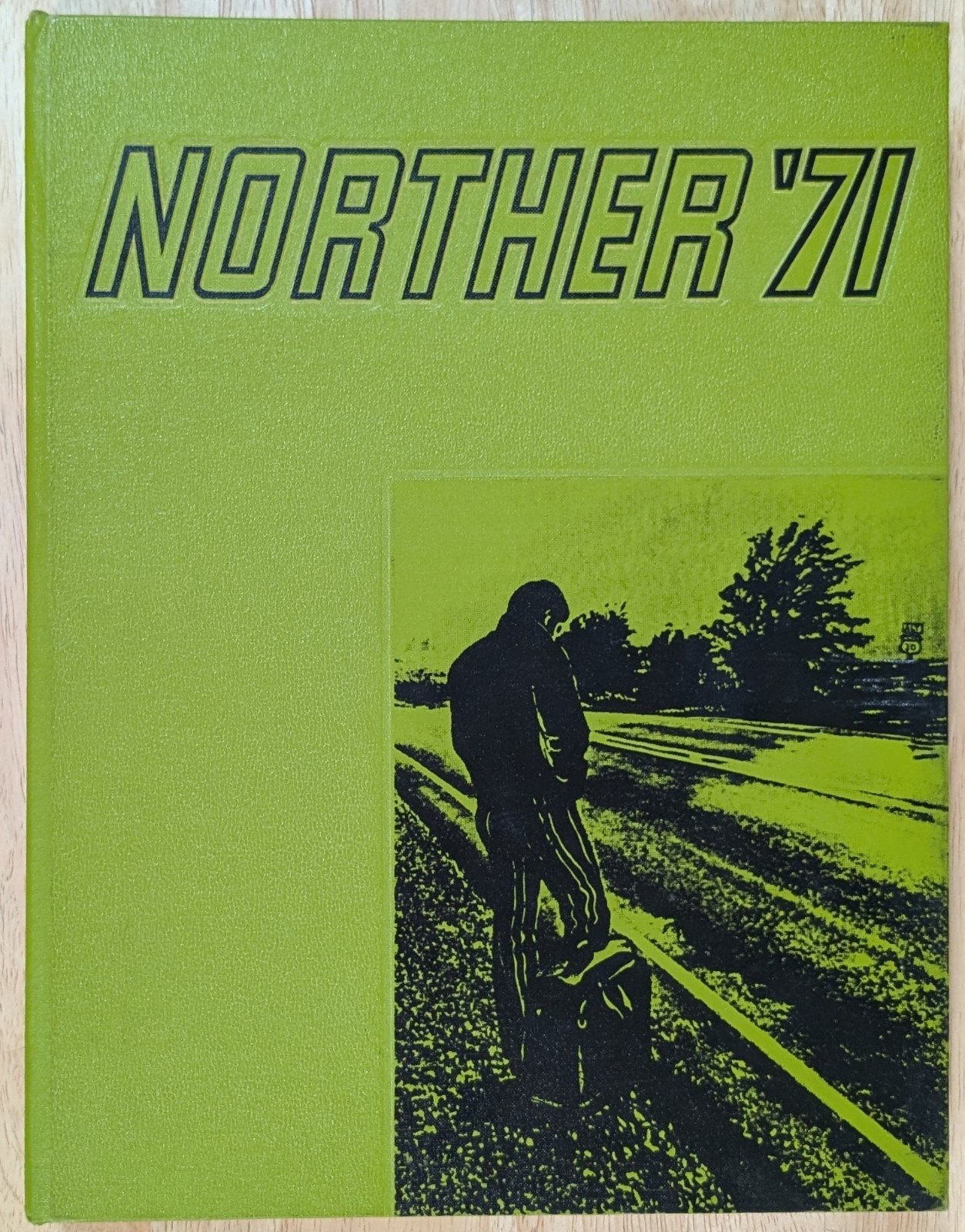 1971 Northern Illinois University Yearbook NIU  Excellent Condition