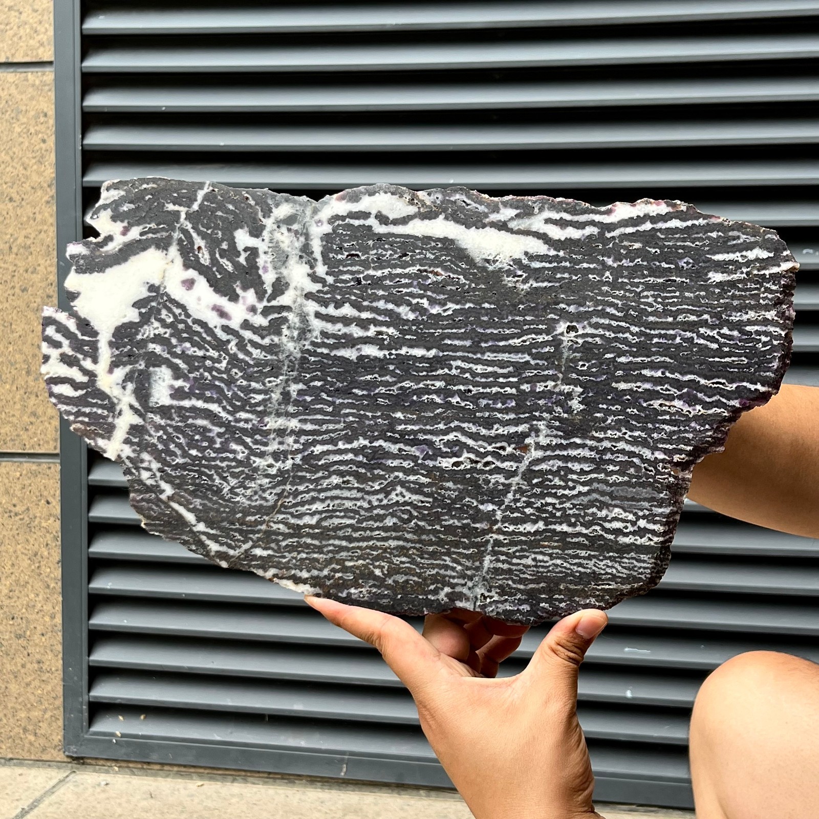 2.9 lb  Natural Zebra Polished Slice Black White Stripe Crystal Mineral Specimen