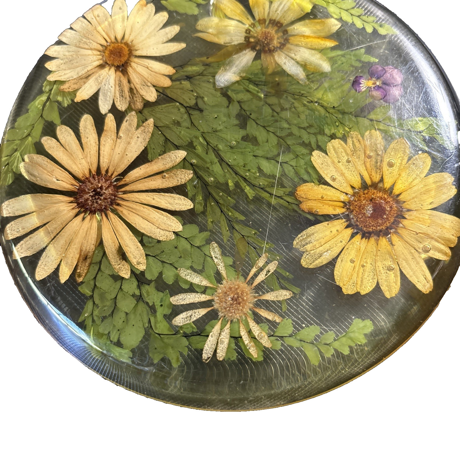 Vintage 1970s Lucite Trivet Round Floral Dried Yellow Daisies 7 Inch Hot Plate