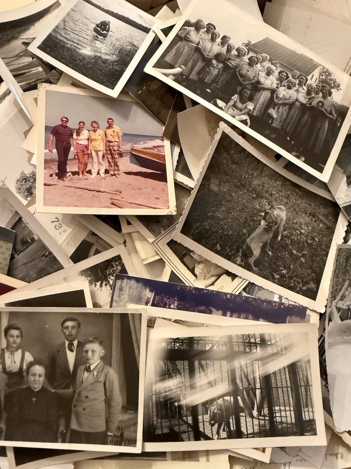 200 Random Snapshot Photographs Amateur Vernacular B&W Color 20th Century Lot