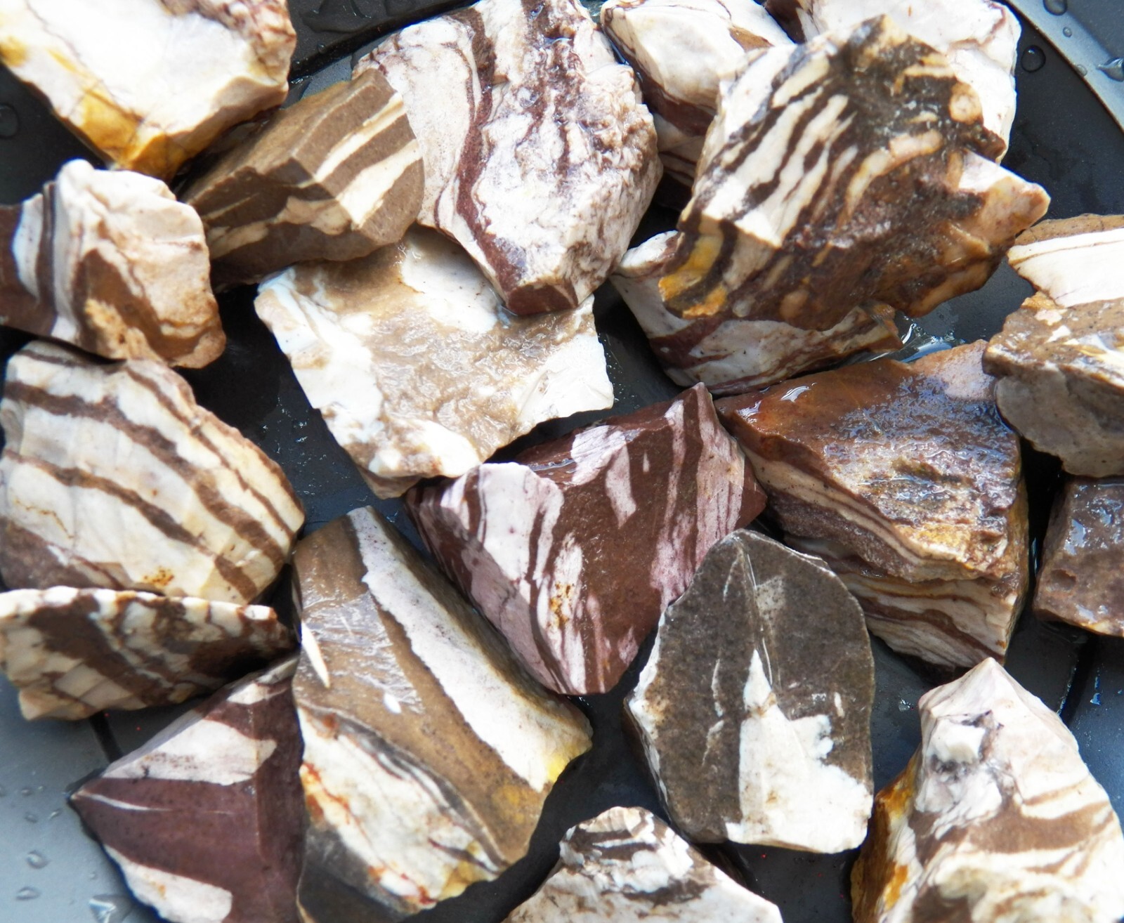 1/2 lb Zebra Jasper Rough Tumbling Rock Stones from Brazil
