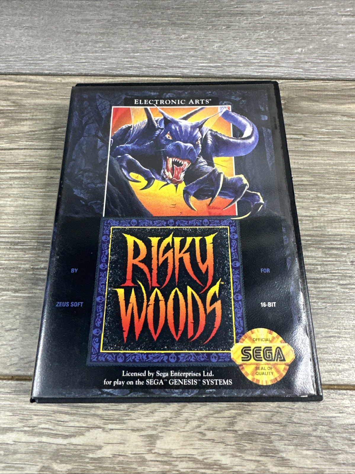 Sega Genesis Risky Woods Case Only