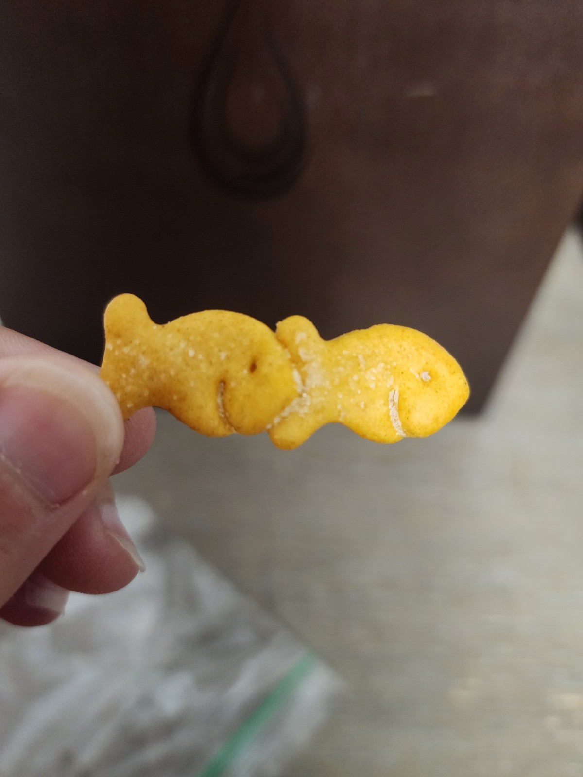 Rare Double Goldfish