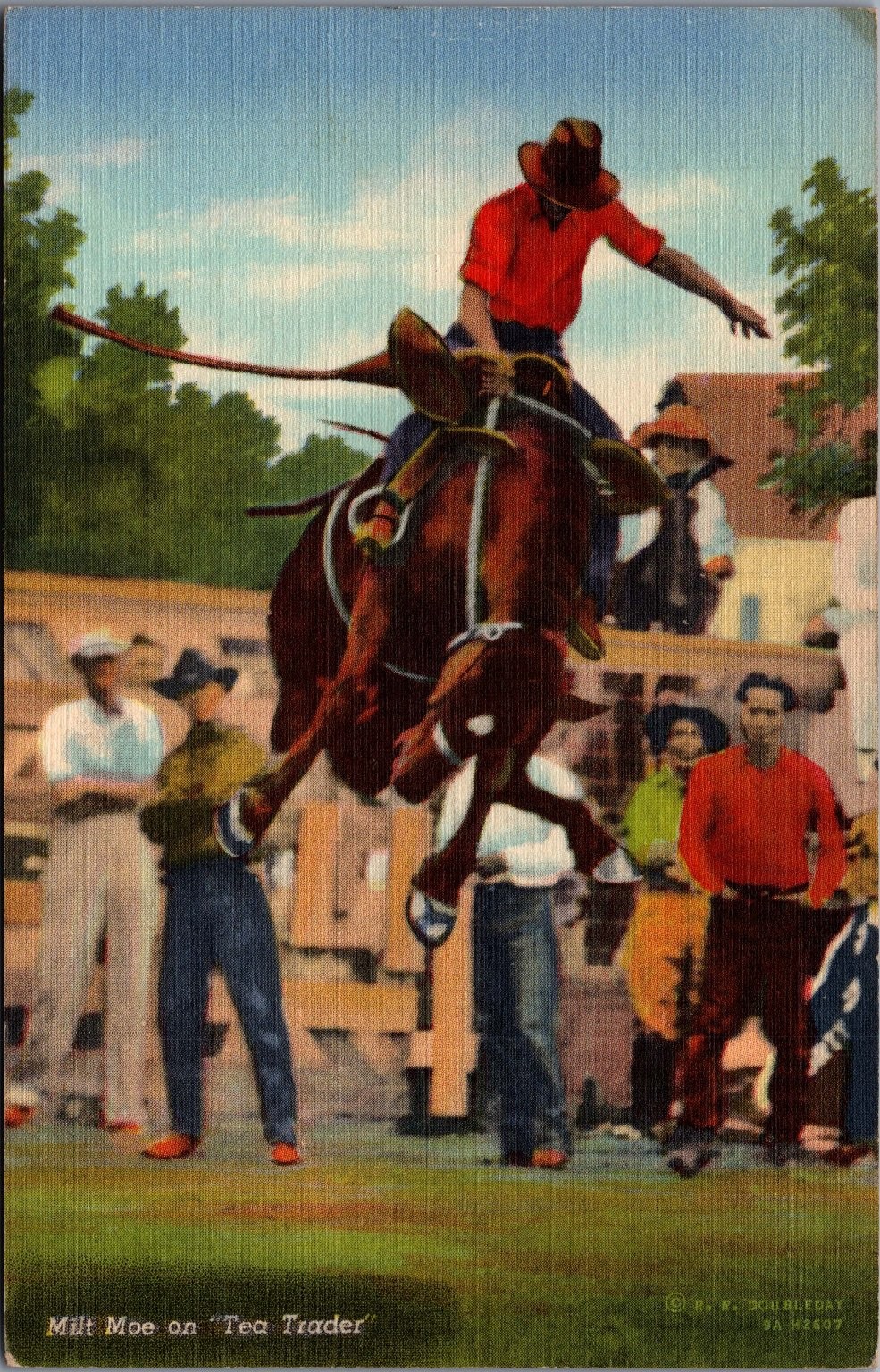 Milt Moe on Tea Trader Bronc Riding Rodeo Curteich Postcard Council Bluffs IA