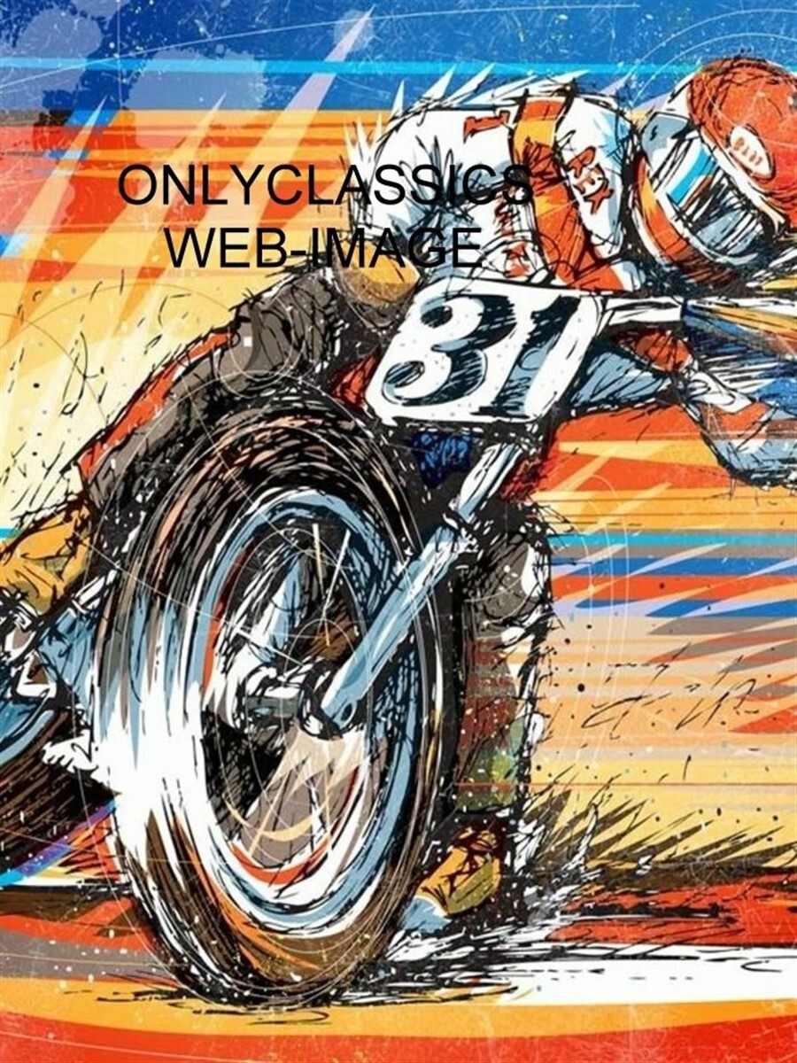 AMA MOTORCYCLE RACING 12X16 ART POSTER FLAT TRACK POWER SLIDE HARLEY DAVIDSON