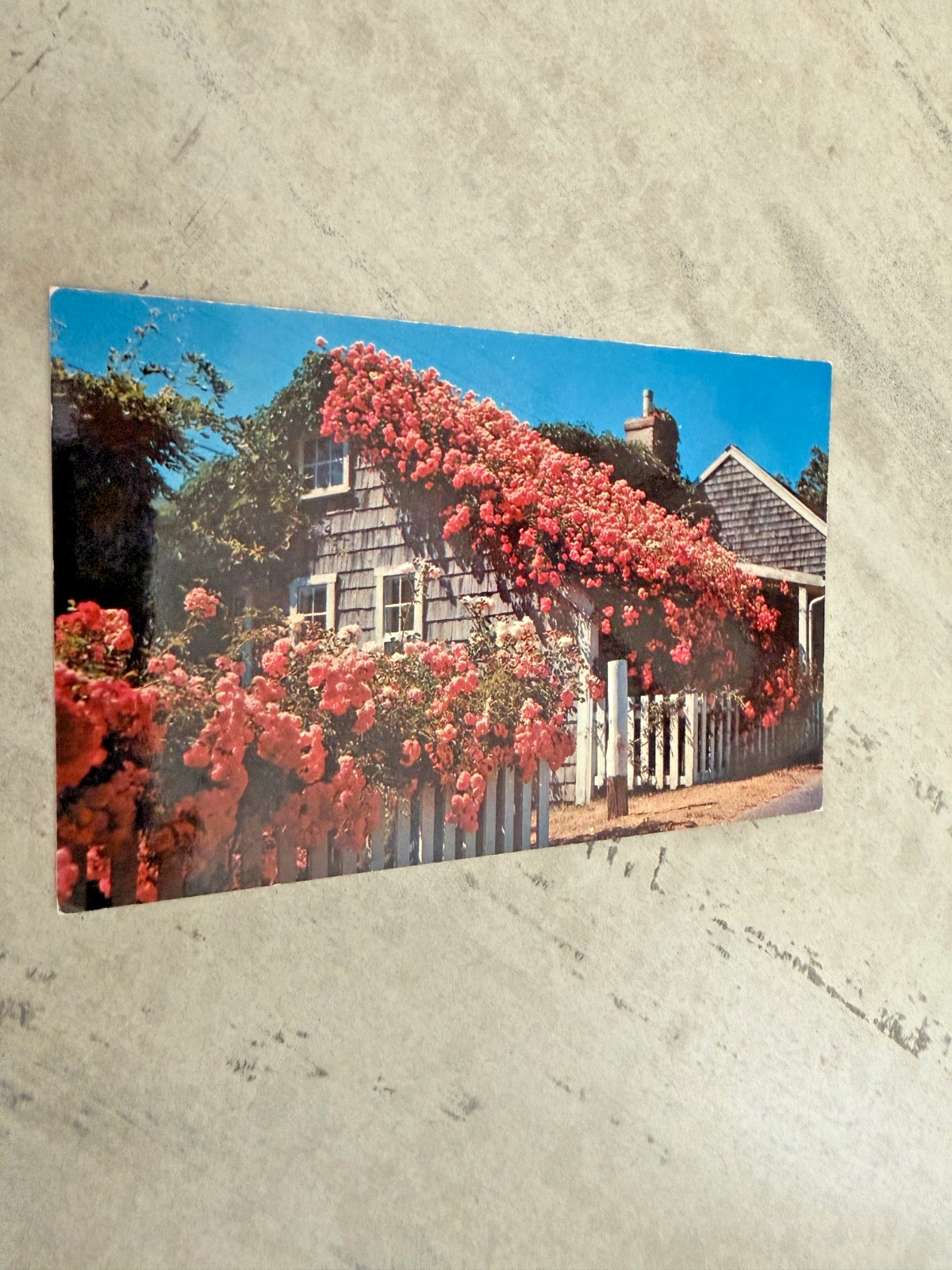 Postcard Typical Rose Covered Cottage Along the Quaint Streets Siasconset MA