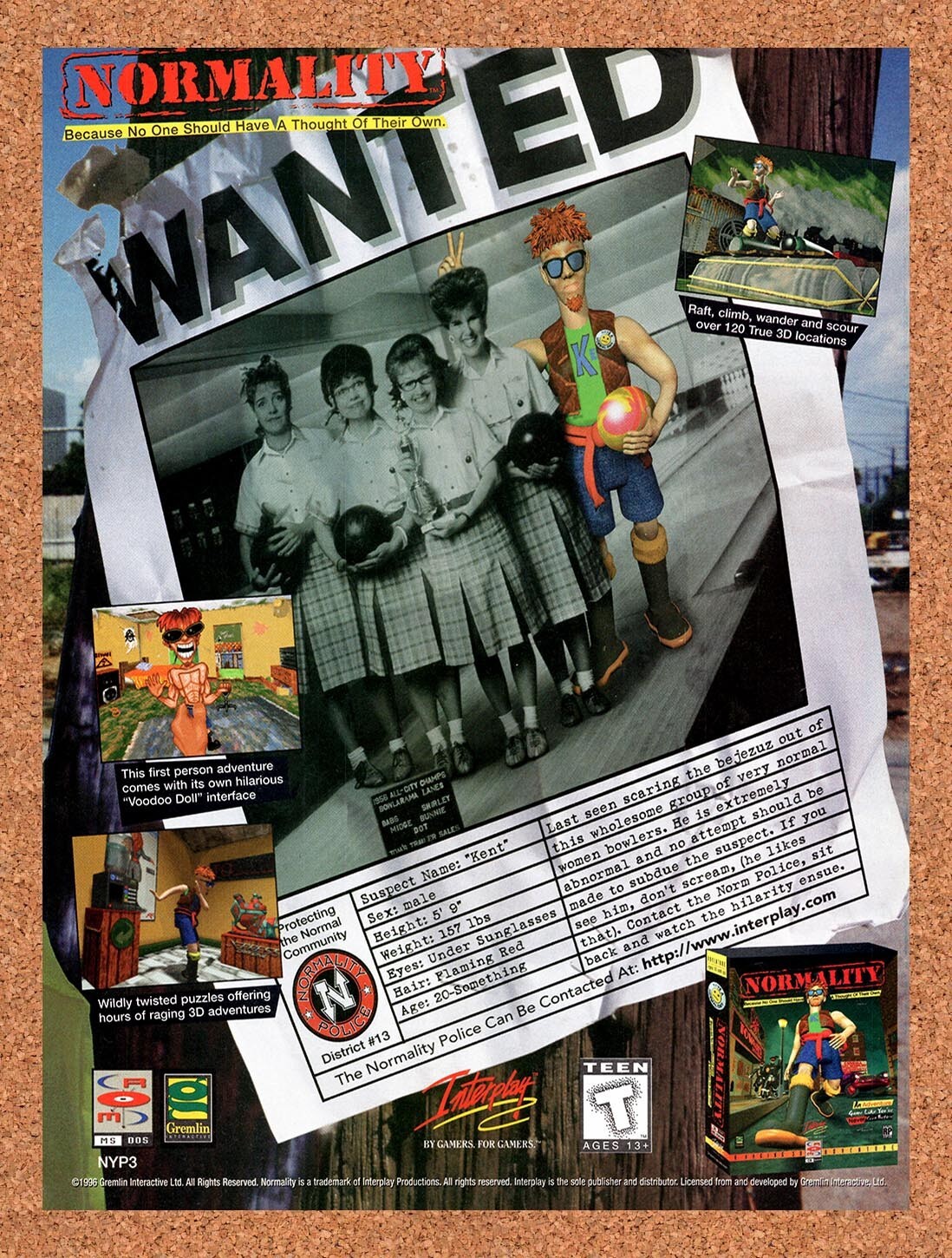 1996 Normality PC Original Advertisement / Retro Promo v1