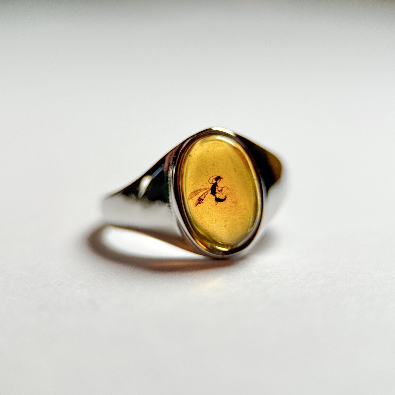 WASP in Amber Fossil Ring: Adjustable Sterling Silver, 99 Million Years Old
