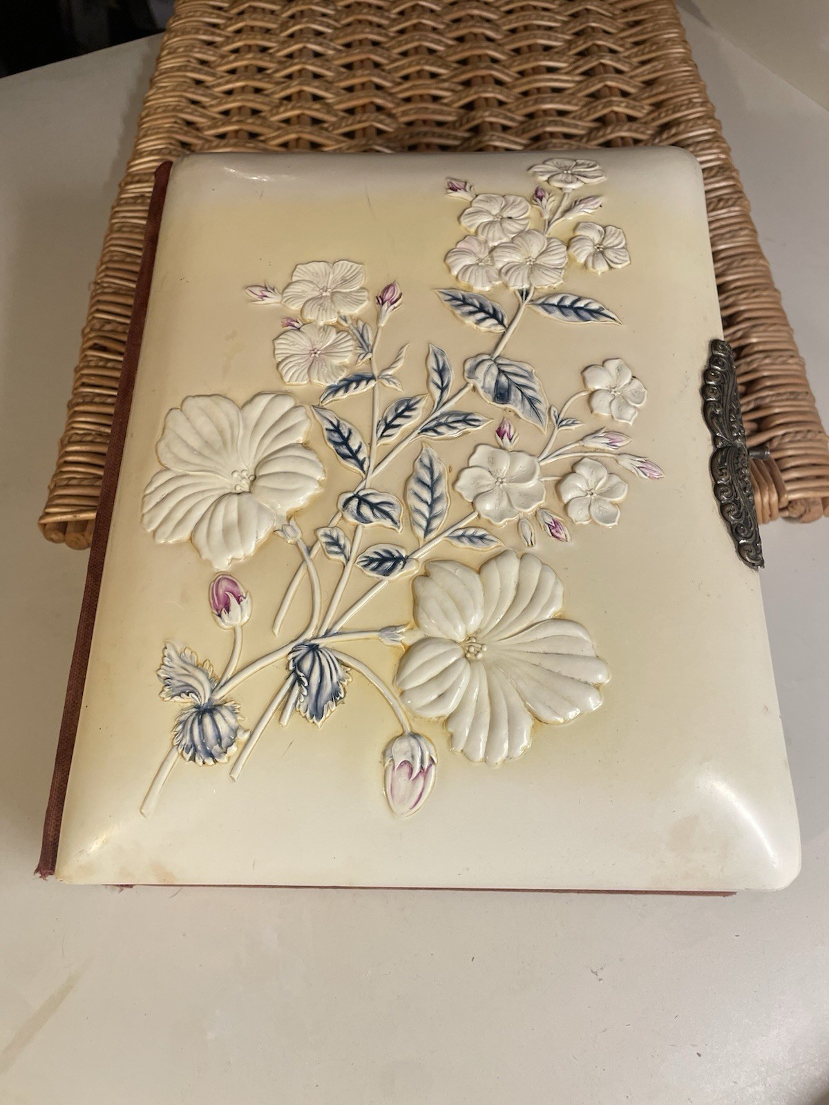 Antique/Victorian Raised Floral Celluloid 16page Photo Album 10.5 X 8.5 x 3