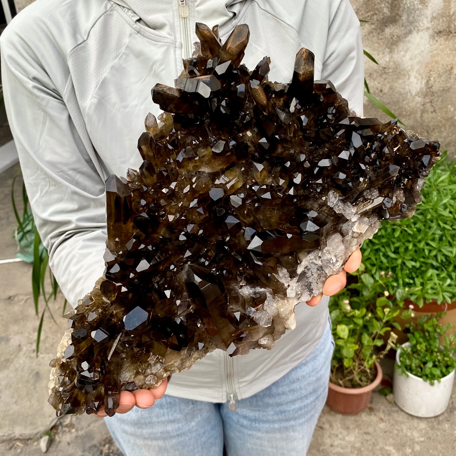 10.44LB Large Natural Smoky Black Quartz Cluster Crystal Specimen Healing