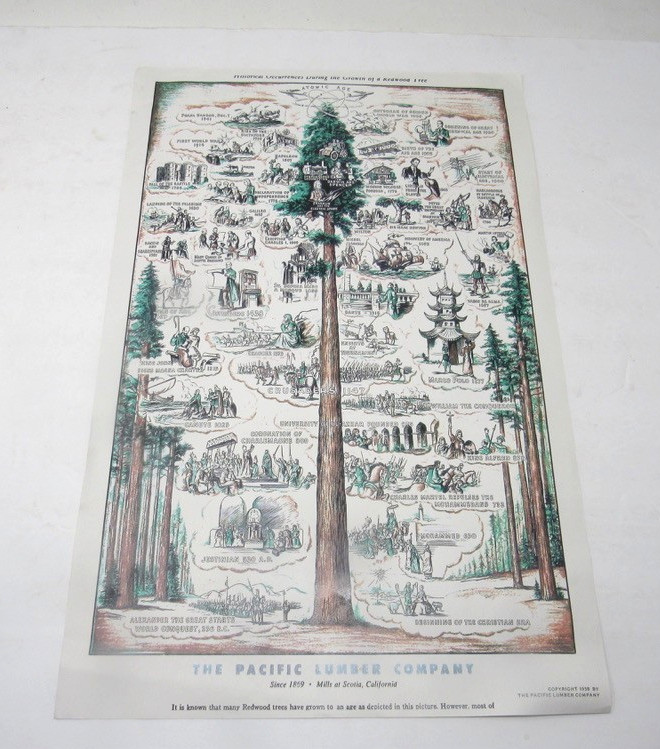 Pacific Lumber Company Scotia California 1958 11 x 17