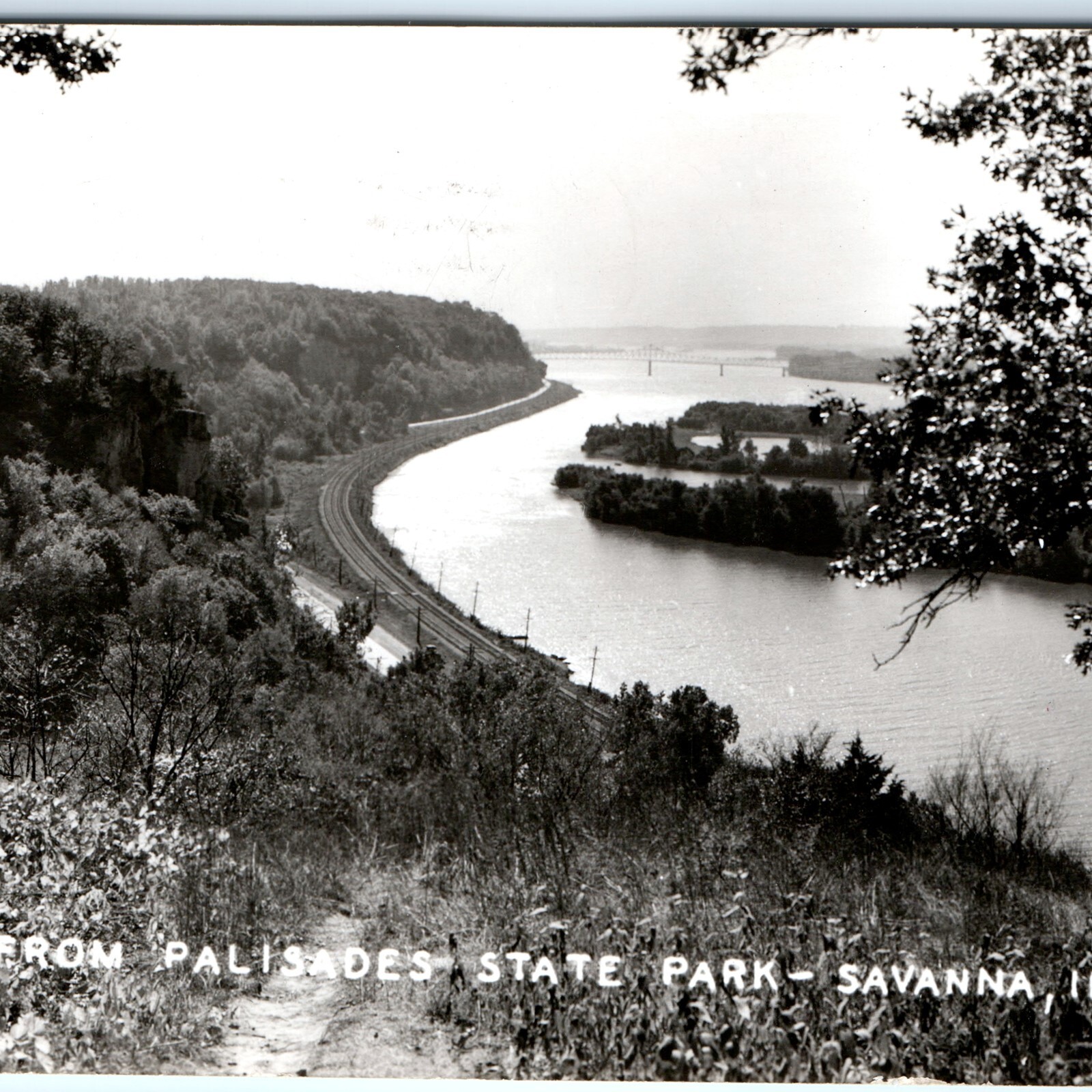 c1950s Savanna, IL Mississippi Palisades State Park River View RPPC Postcard