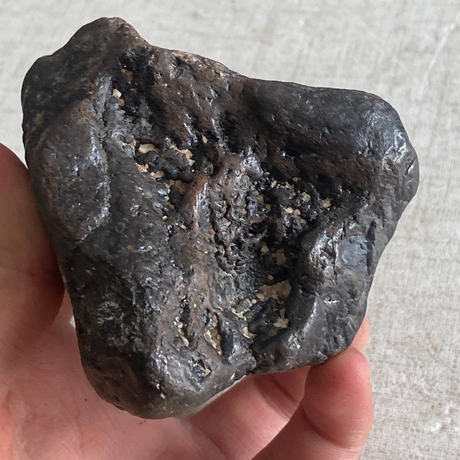 373g Natural Genuine stony meteorite specimen from China  H147