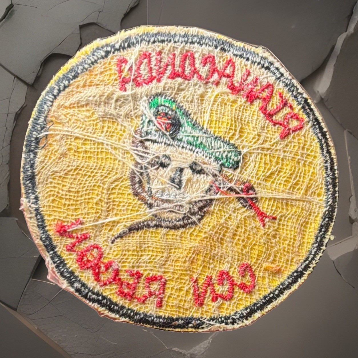 Rare Special Forces RT Anaconda CCN Recon Patch Original VN war no glow b1-1