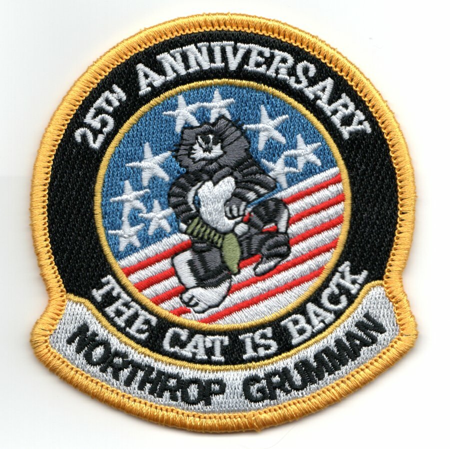 northrop grumann F-14 Tomcat 25th Anniversary USA Flag Cat is Back Patch