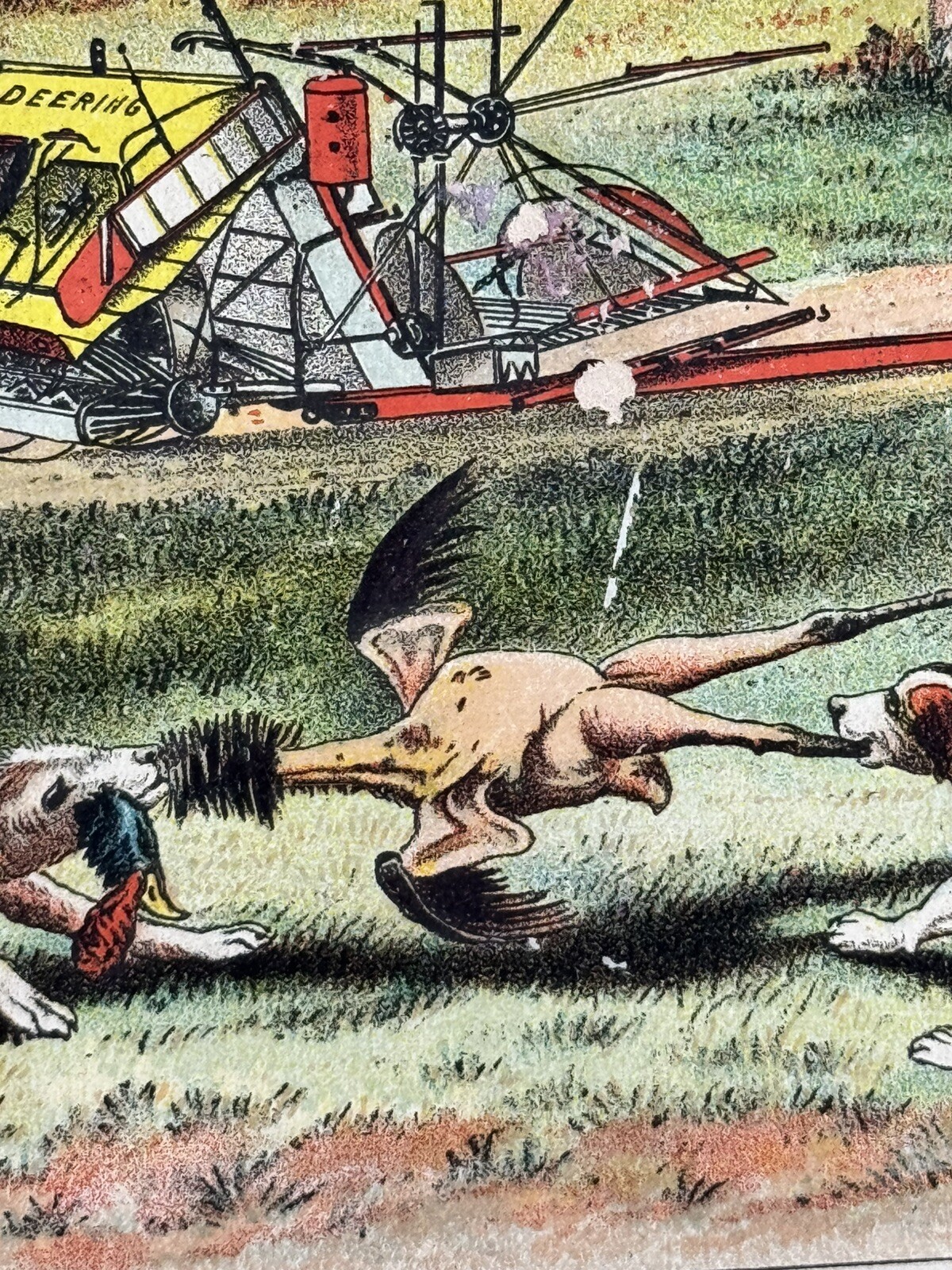 Fantastic Victorian Trade Card 