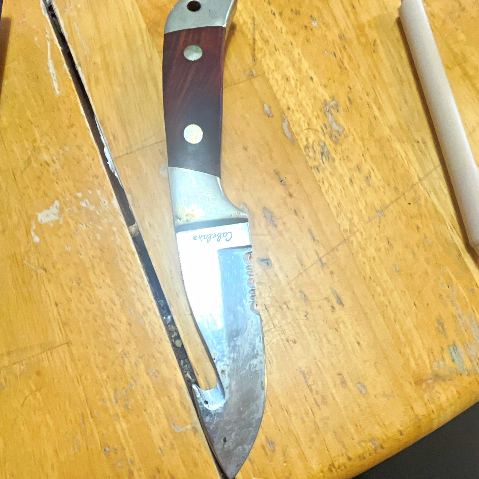 Cabela's Stainless Hunting Knife Wood Handle Gut Hook w/ Sheath some rust used