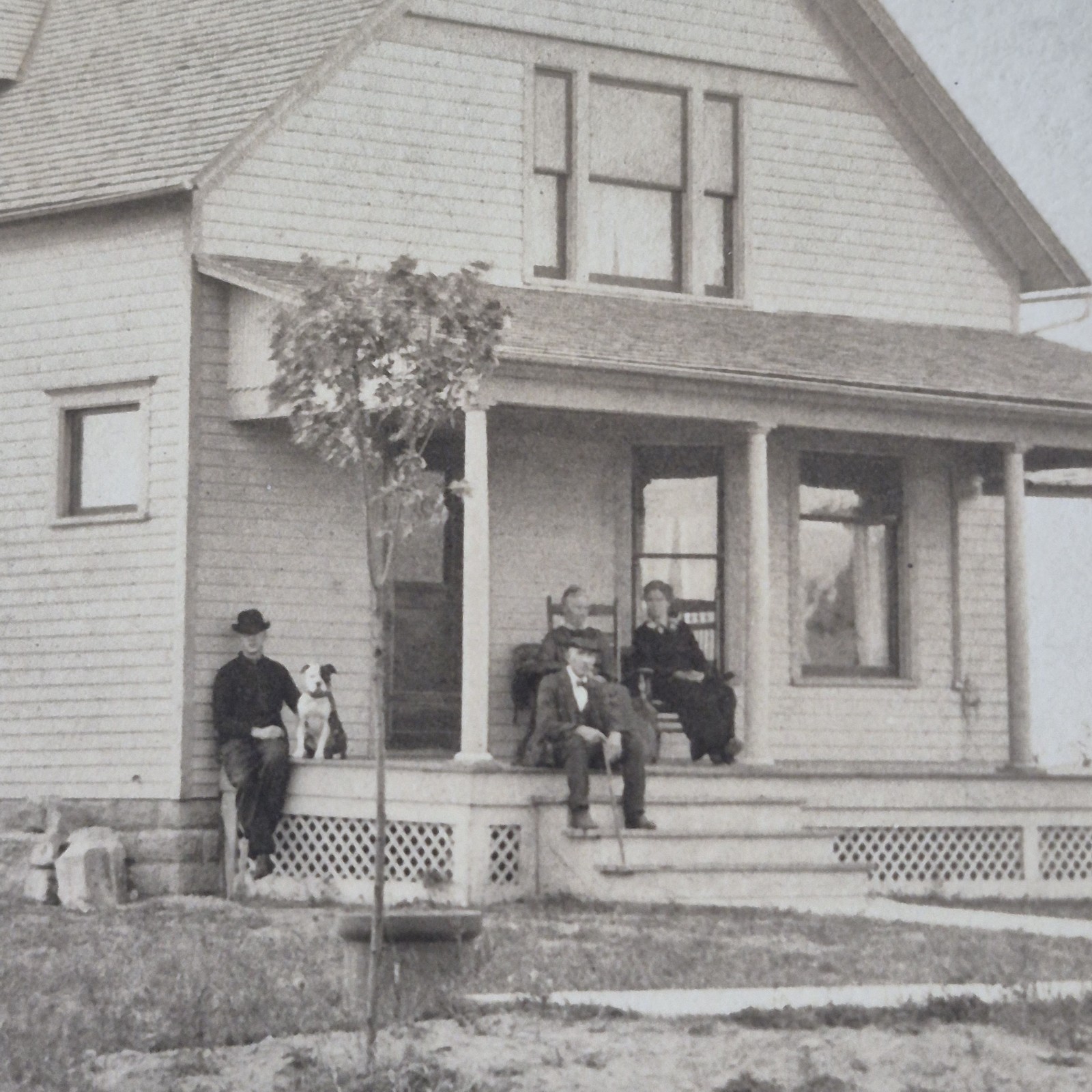 Antique RPPC Postcard Edwardian Family Farmhouse Porch Dog Bull Terrier c1910