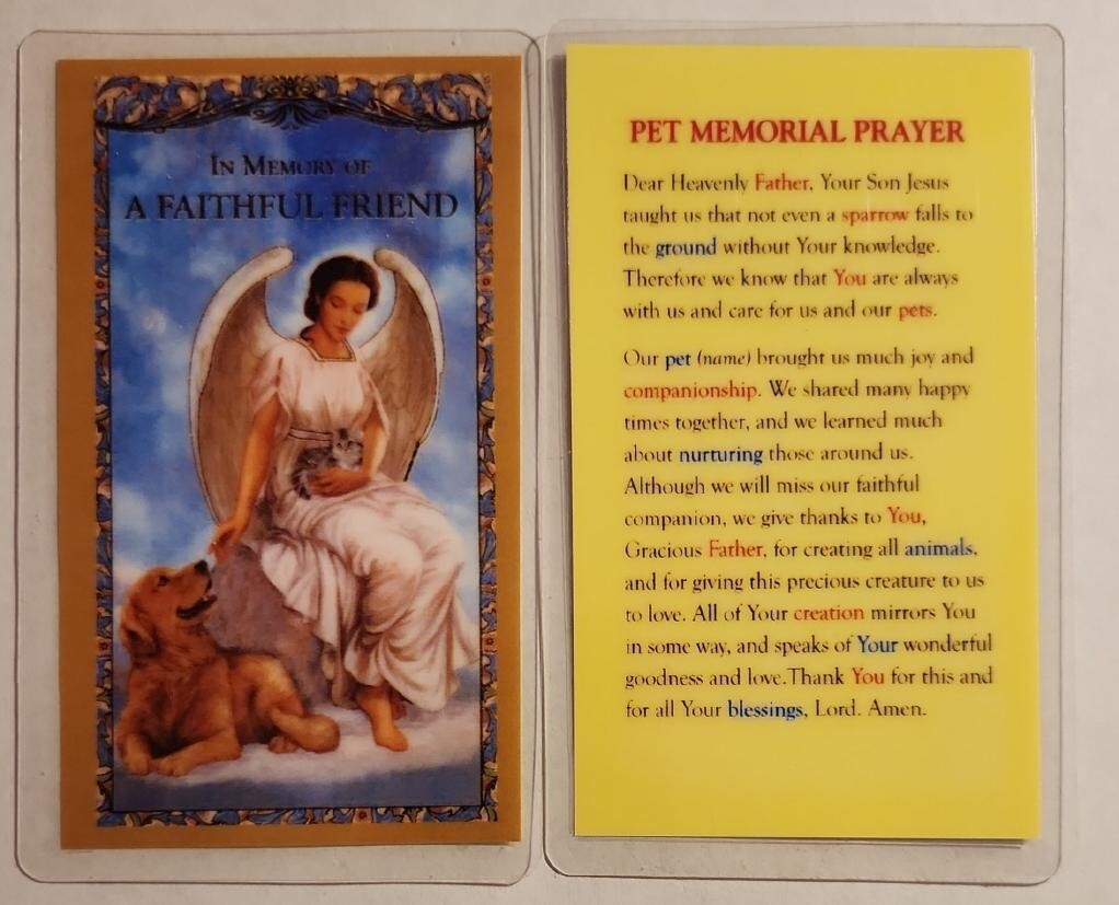 In Memory of a Faithful Friend - Laminated  Holy Card